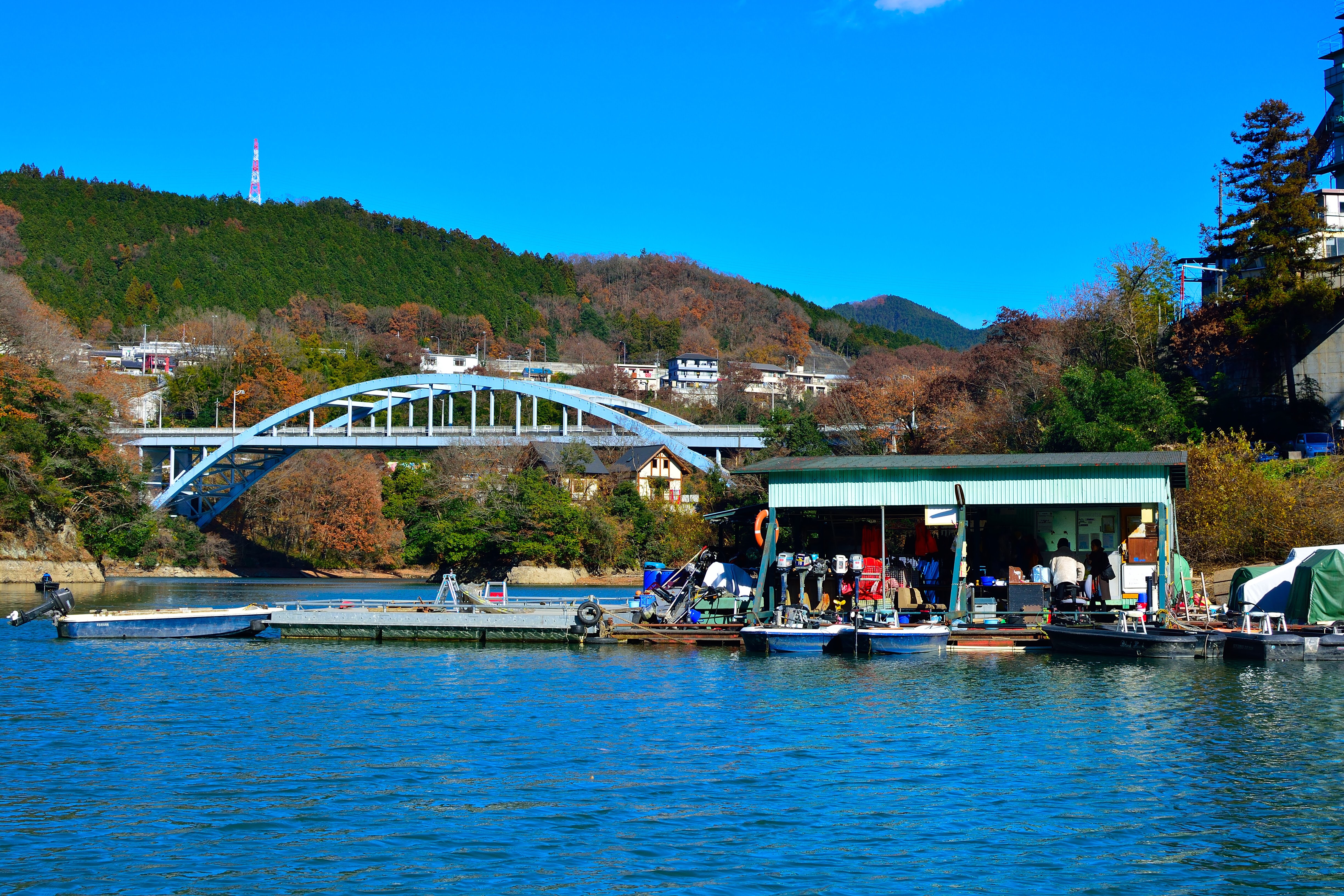 秋山川(天狗岩ボートと日連大橋を望む)