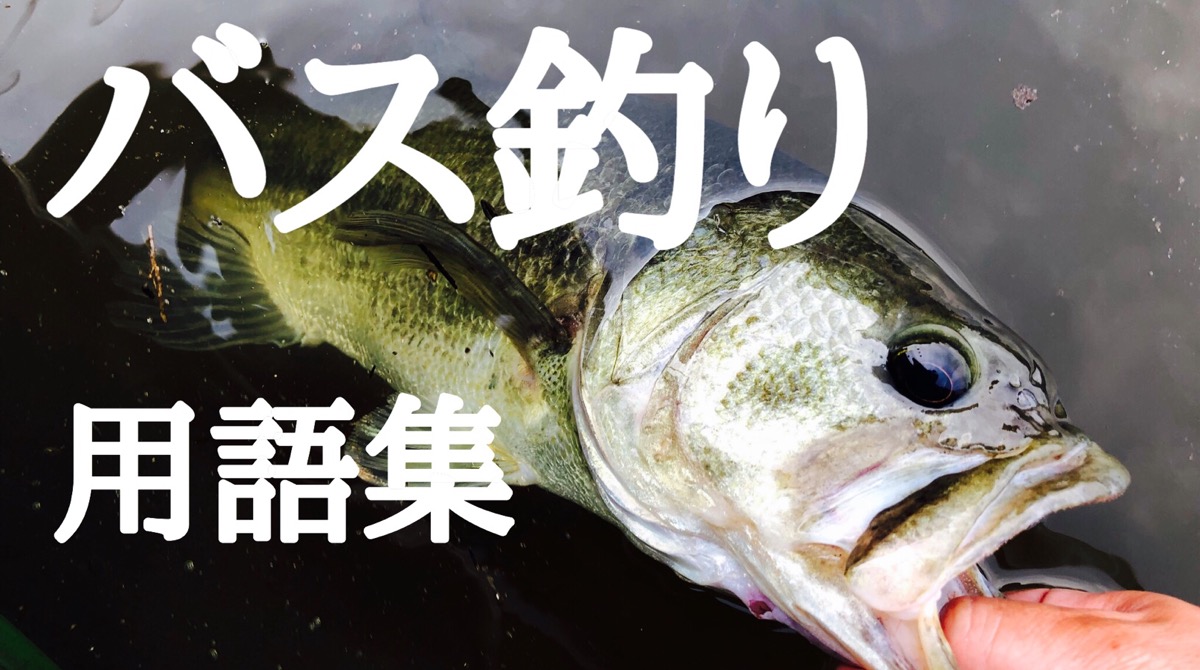 Neoバス釣り用語集 Ikahime