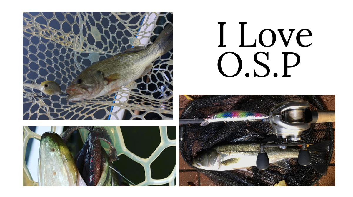 おすすめ 実釣性能の高いo S Pルアー インプレ23選 Ikahime