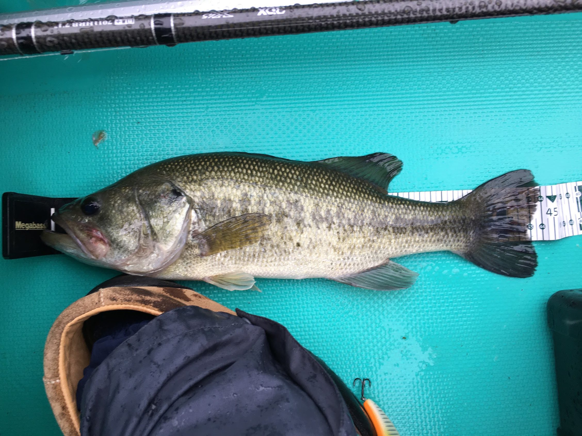 バス釣り用おすすめメジャー厳選2選 オカッパリとボートでのそれぞれの選び方 Ikahime