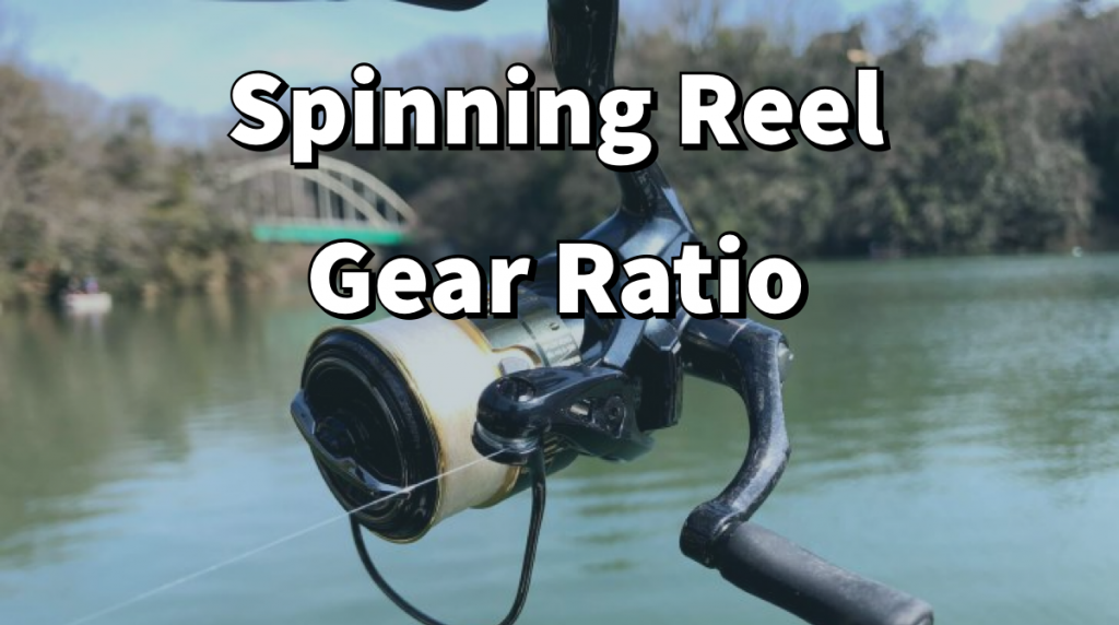 スピニングリールのギア比選び方 使い分けなど Ikahime