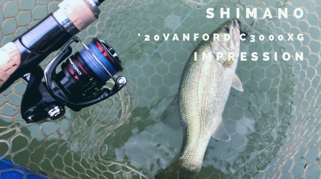 シマノ ヴァンフォードc3000xg 実釣インプレ 新世代スタンダードスピンは隙なしなのか シーバス イナダ バスで検証 Ikahime